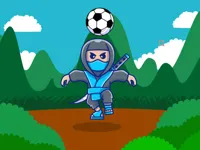 image Ninja Head Ball