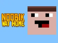 image Noob: Way home