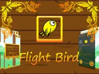 image FlightBird