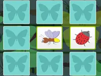 image Kids Memory - Insects