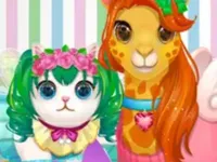 image Funy Pet Haircut