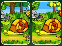 image Insects Photo Differences